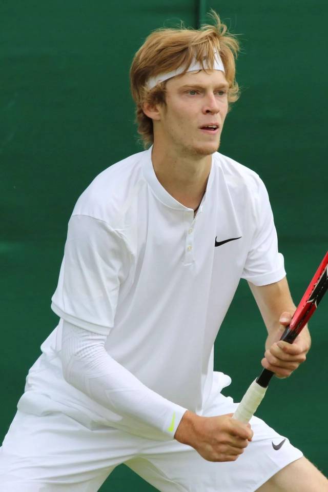 这一惊人的 这一惊人的