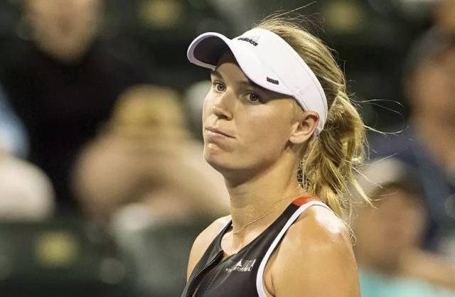 团队采用了 团队采用了