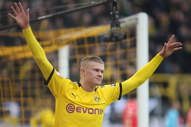 克拉文农场 克拉文农场