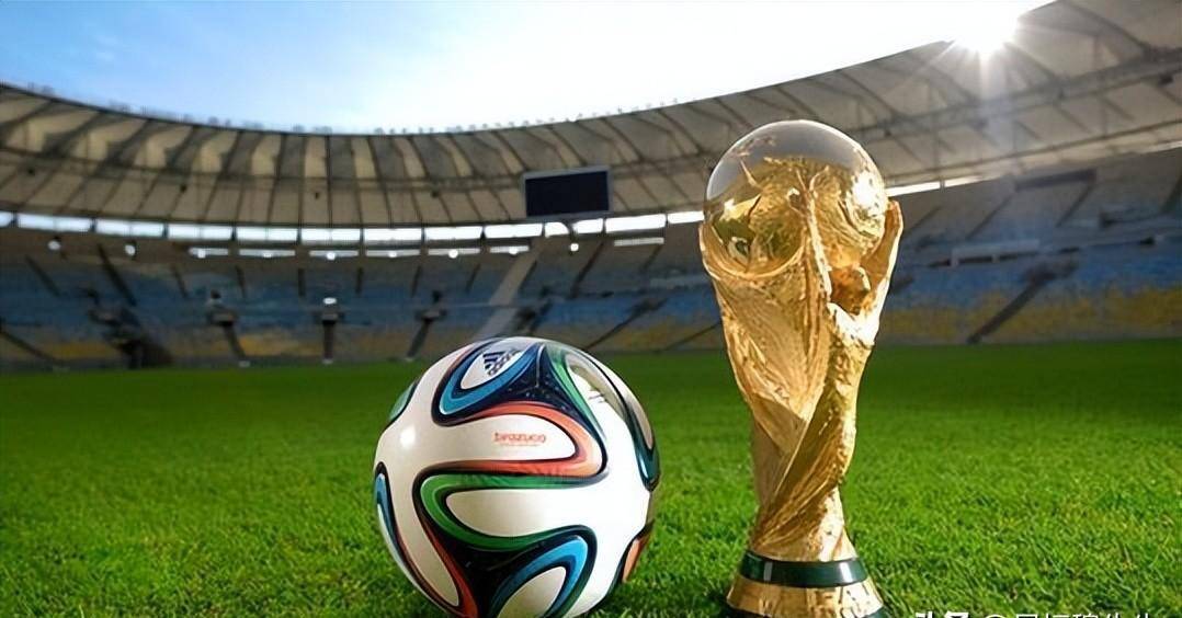 不仅关乎排 不仅关乎排